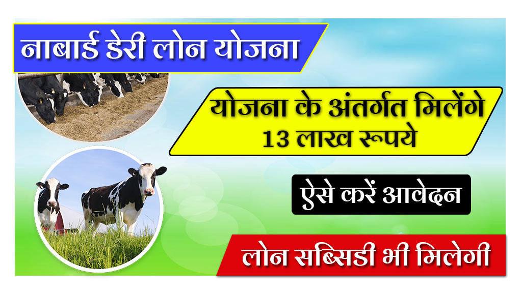 Nabard Dairy Loan Subsidy