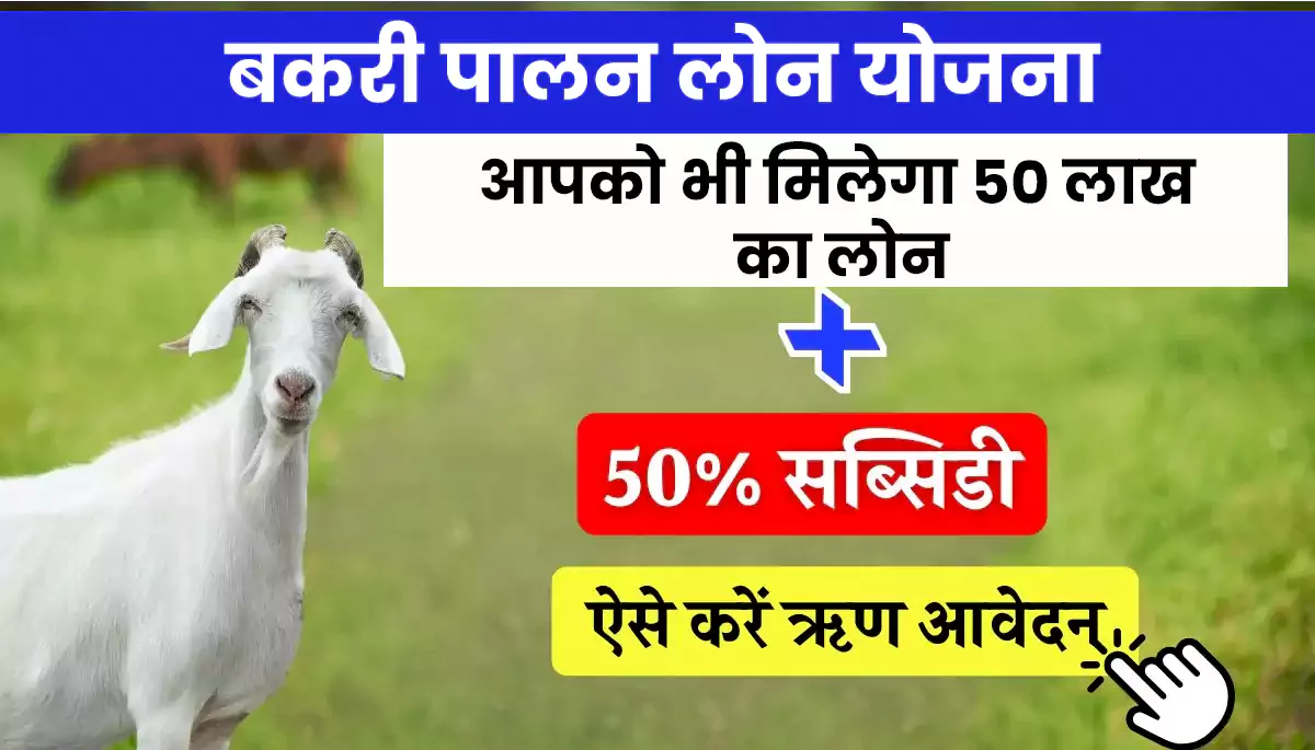 Bakri Palan Loan